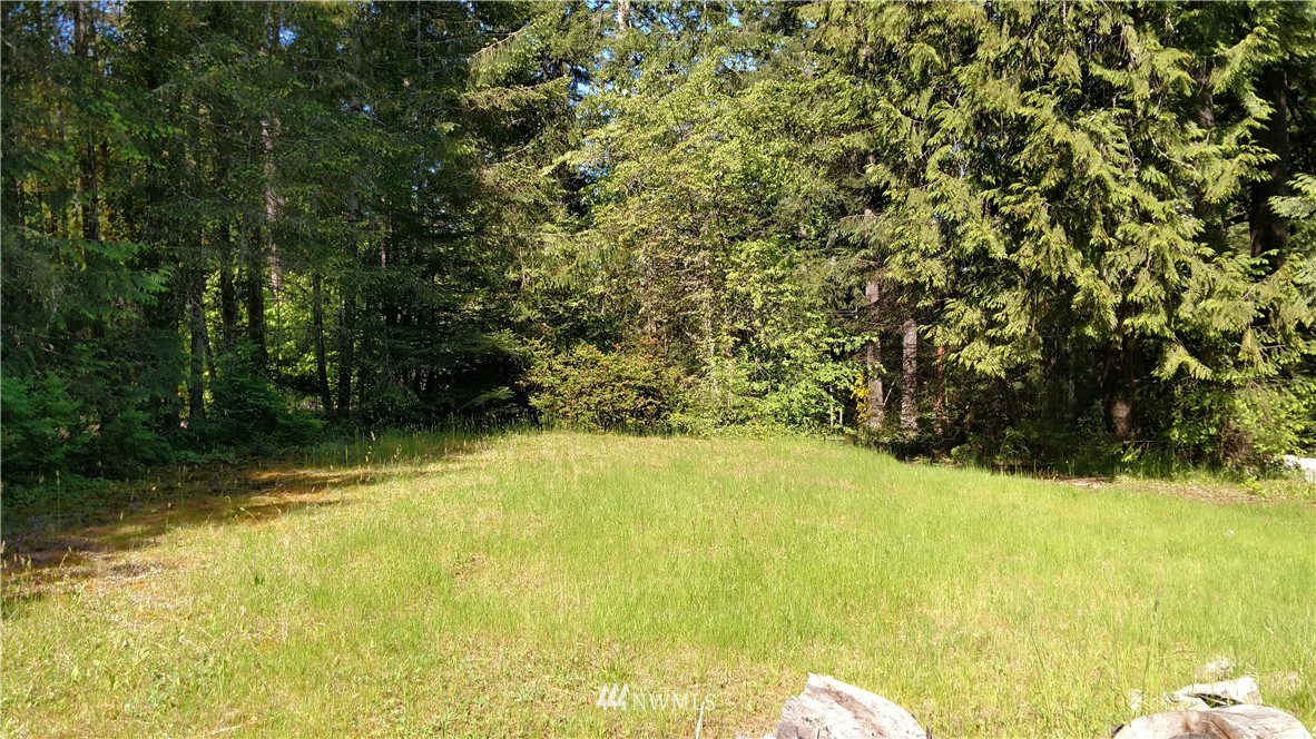 350 West Insels Road Shelton, WA 98584 - Photo 2 of 15 Gallery Image 2