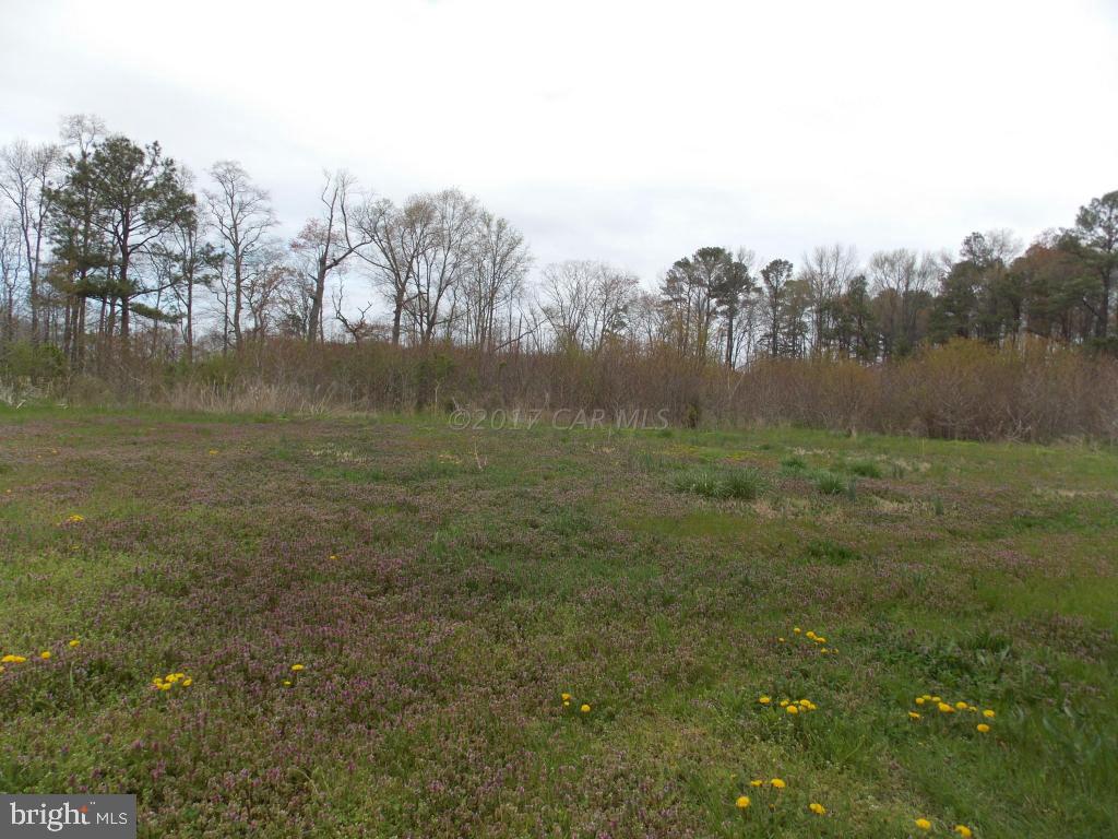 1834 Colona Road Pocomoke City, MD 21851 - Photo 14 of 18 Gallery Image 14