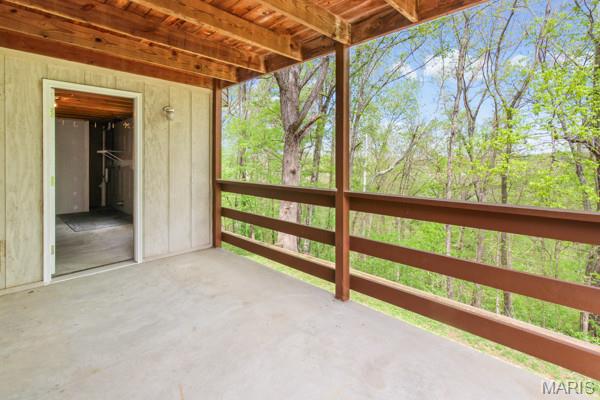 132 Blue Ridge Trace Festus, MO 63028 - Photo 45 of 58