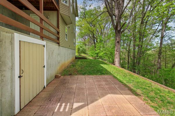 132 Blue Ridge Trace Festus, MO 63028 - Photo 54 of 58