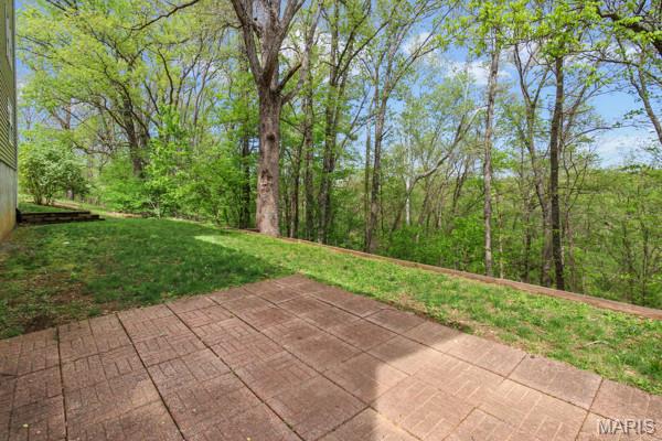 132 Blue Ridge Trace Festus, MO 63028 - Photo 58 of 58