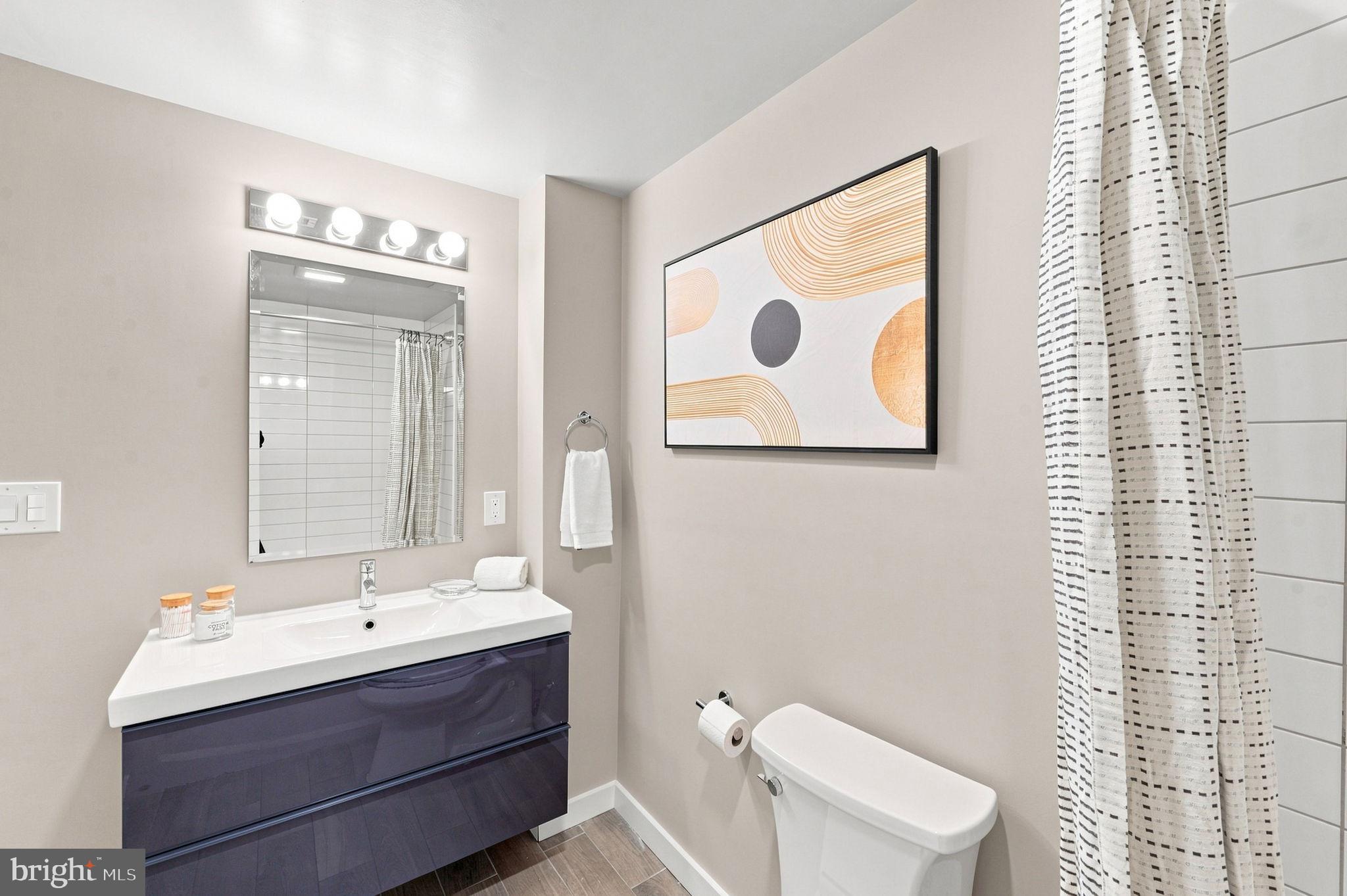 700 Roeder Road, Unit 203 Silver Spring, MD 20910 - Photo 22 of 37 Modern bathroom with stylish accents.