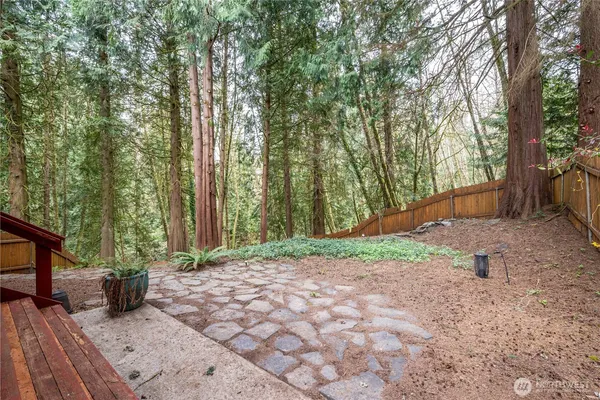 a view of a backyard with large trees and plants