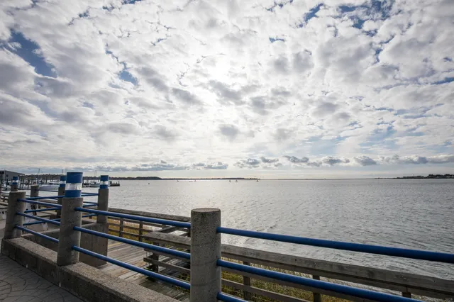 a view of a roof with wooden floor