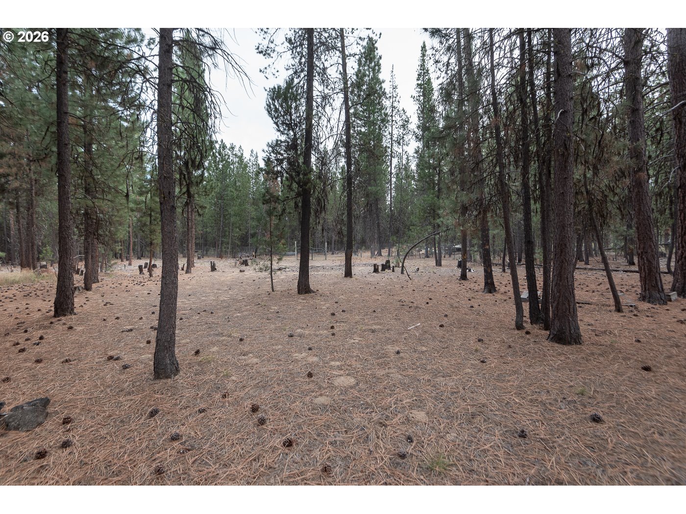 14731 Longleaf Pines La Pine, OR 97739 - Photo 30 of 36
