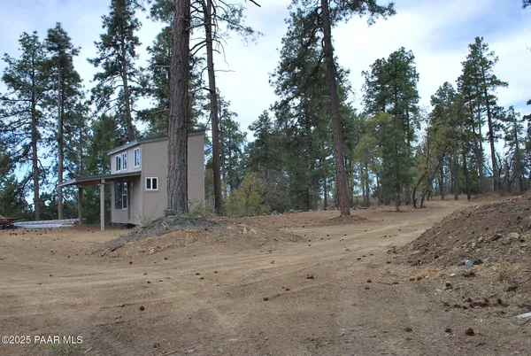 a view of a dry yard with trees