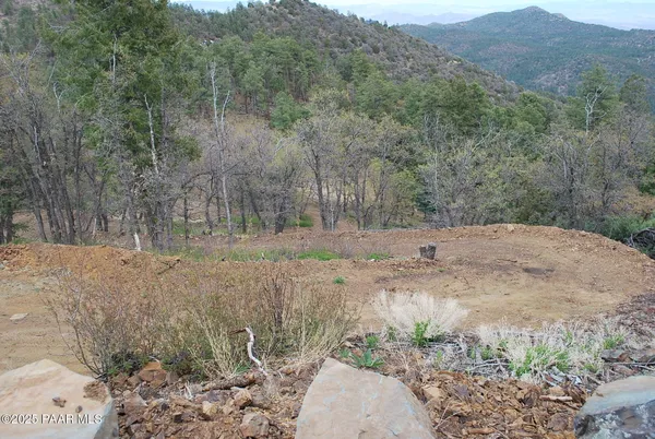 a view of a dirt road with trees in the background