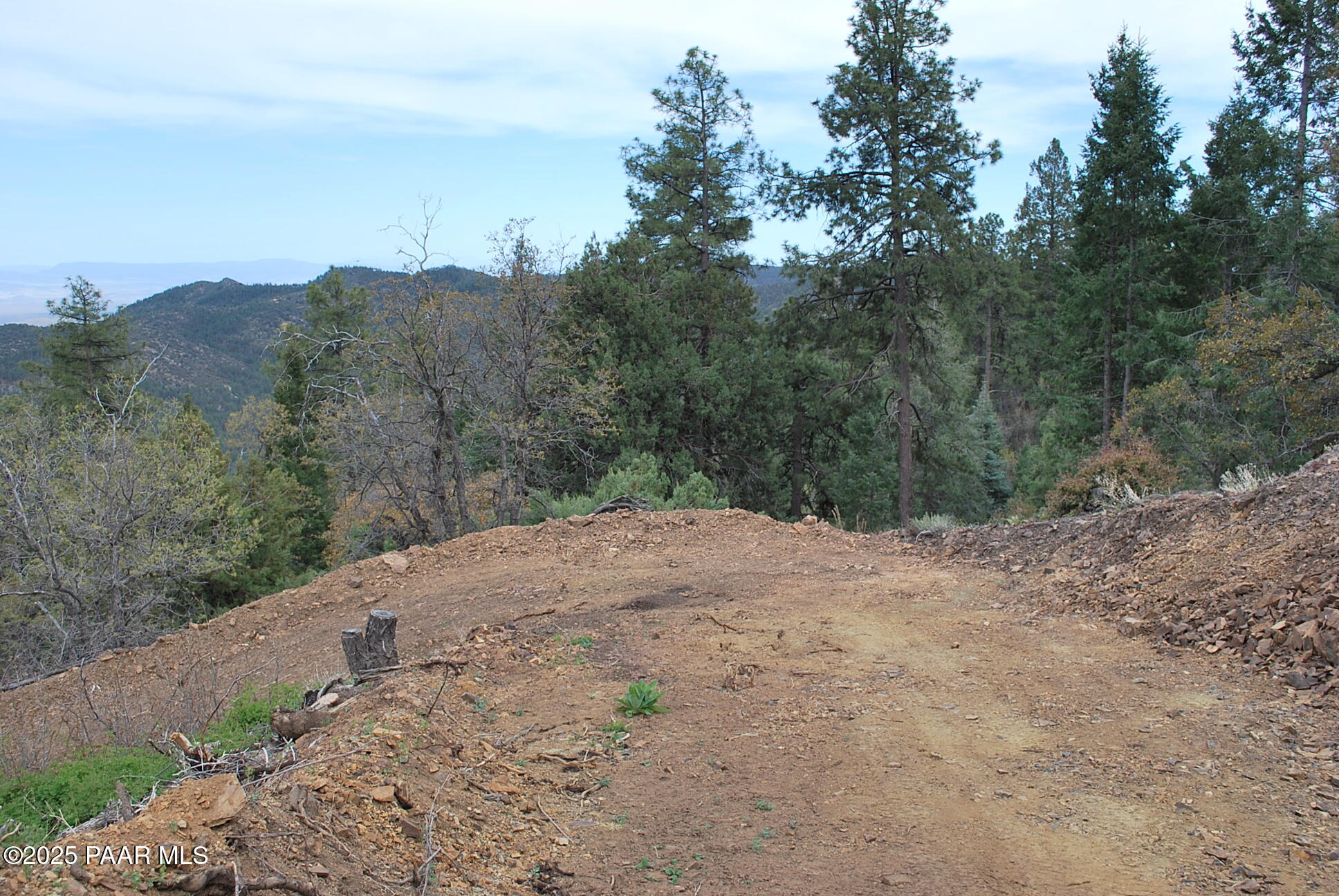 0 East Refuge Hideout Road Prescott, AZ 86303 - Photo 17 of 41 a view of a dirt road with trees in the background