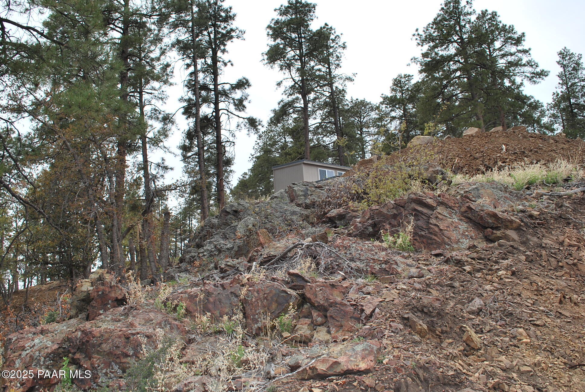 0 East Refuge Hideout Road Prescott, AZ 86303 - Photo 18 of 41 a view of a yard with a tree