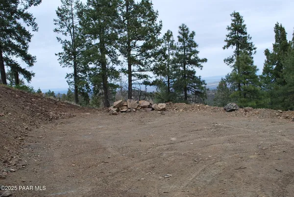 a view of a dry yard with lots of green space