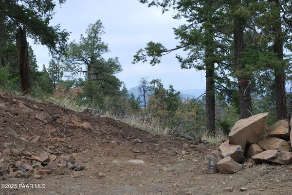 a view of a dirt road with trees in the background