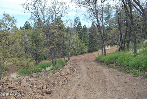 a view of a dry yard with trees in the background