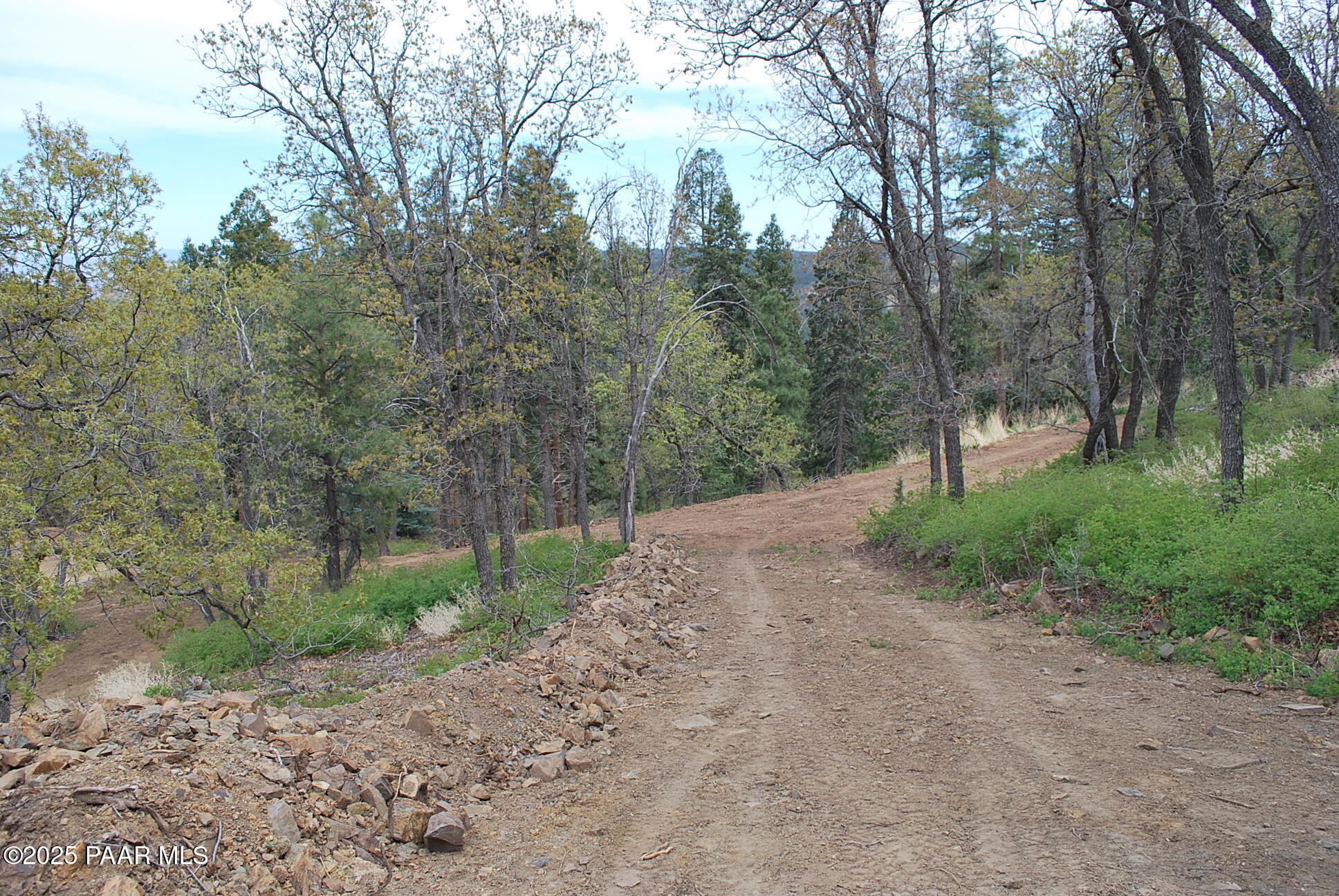 0 East Refuge Hideout Road Prescott, AZ 86303 - Photo 21 of 41 a view of a dirt road with trees in the background