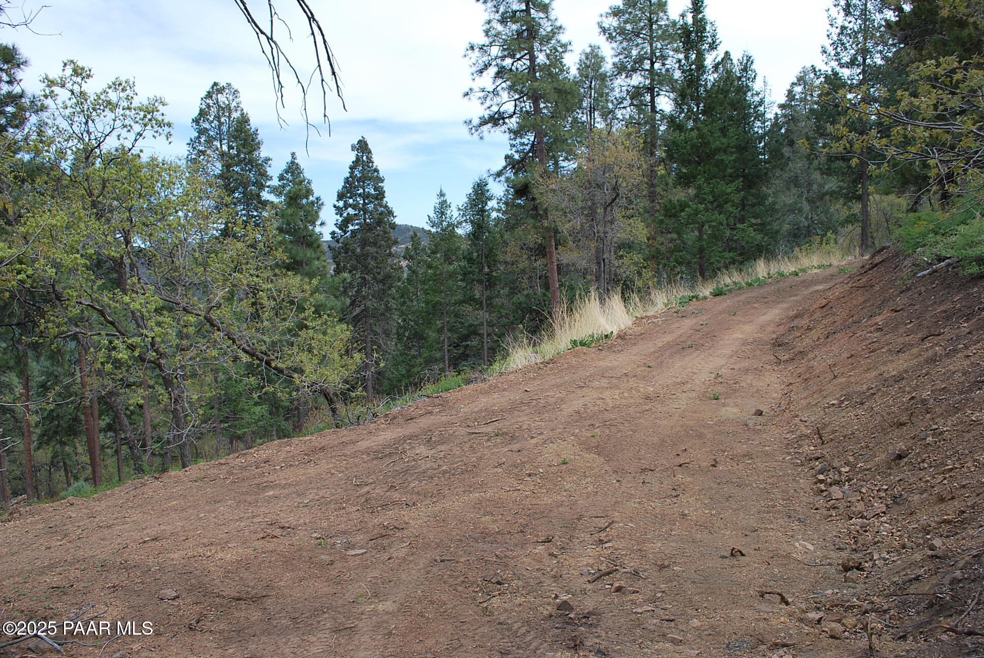 0 East Refuge Hideout Road Prescott, AZ 86303 - Photo 22 of 41 a view of a dry yard with trees in the background