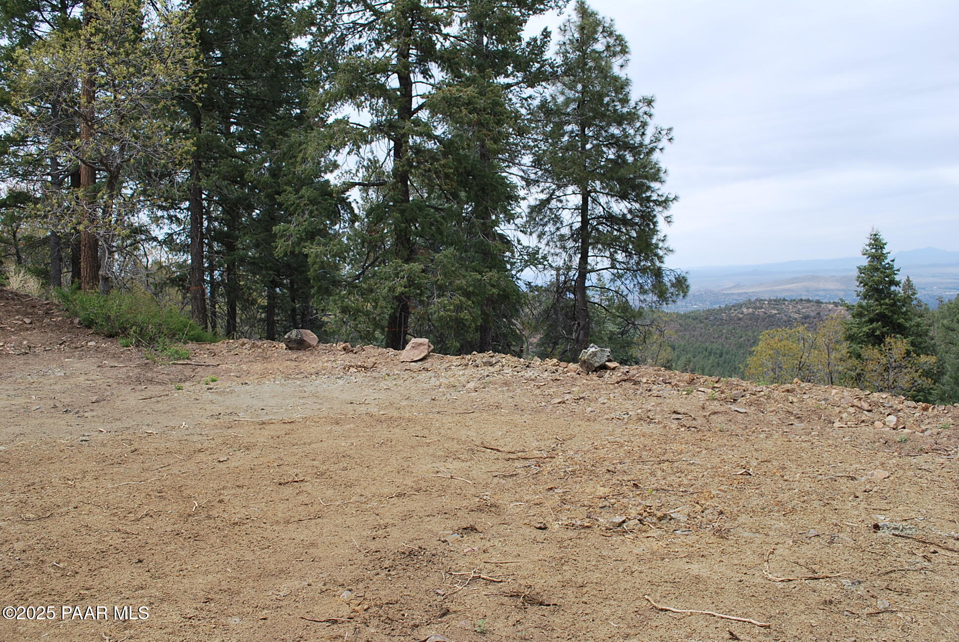 0 East Refuge Hideout Road Prescott, AZ 86303 - Photo 23 of 41 a view of a yard with a tree