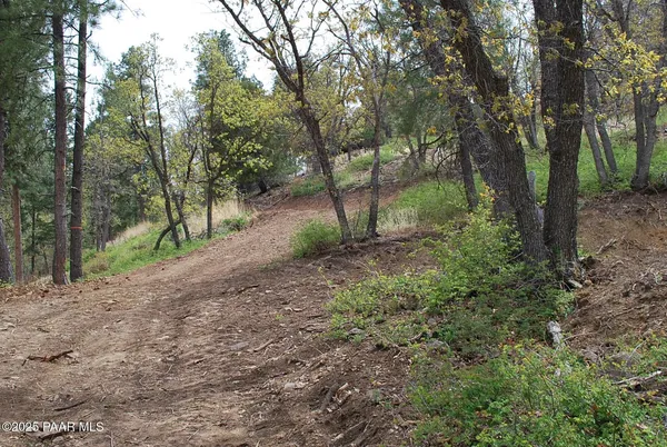 a view of dirt yard with a large tree