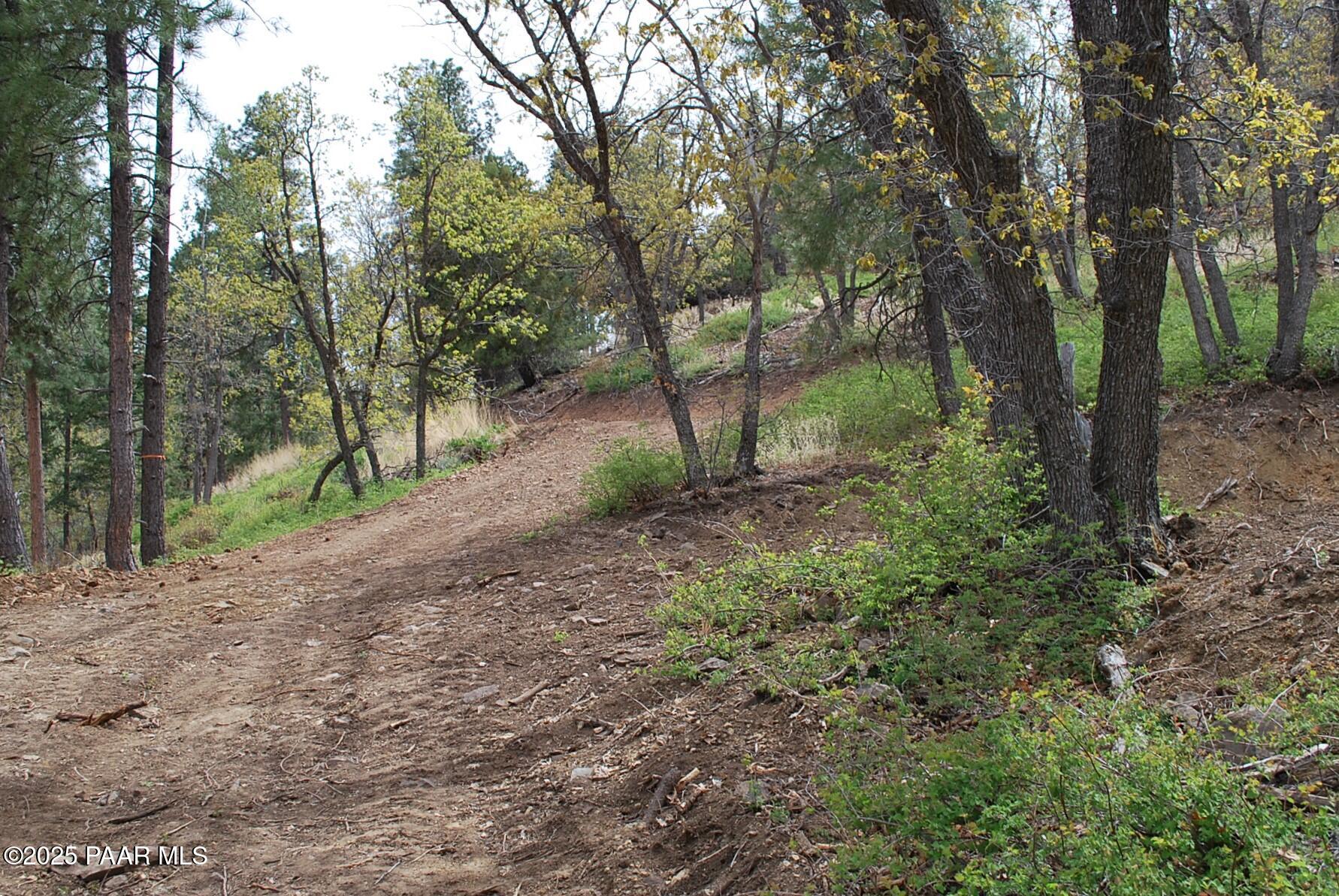 0 East Refuge Hideout Road Prescott, AZ 86303 - Photo 25 of 41 a view of a forest