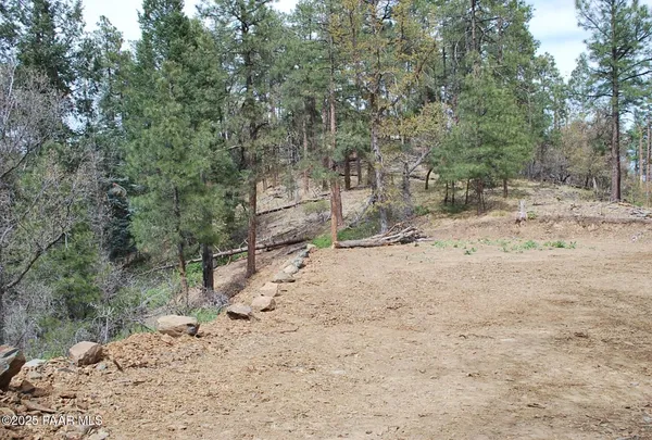 a view of dirt road with trees in the background