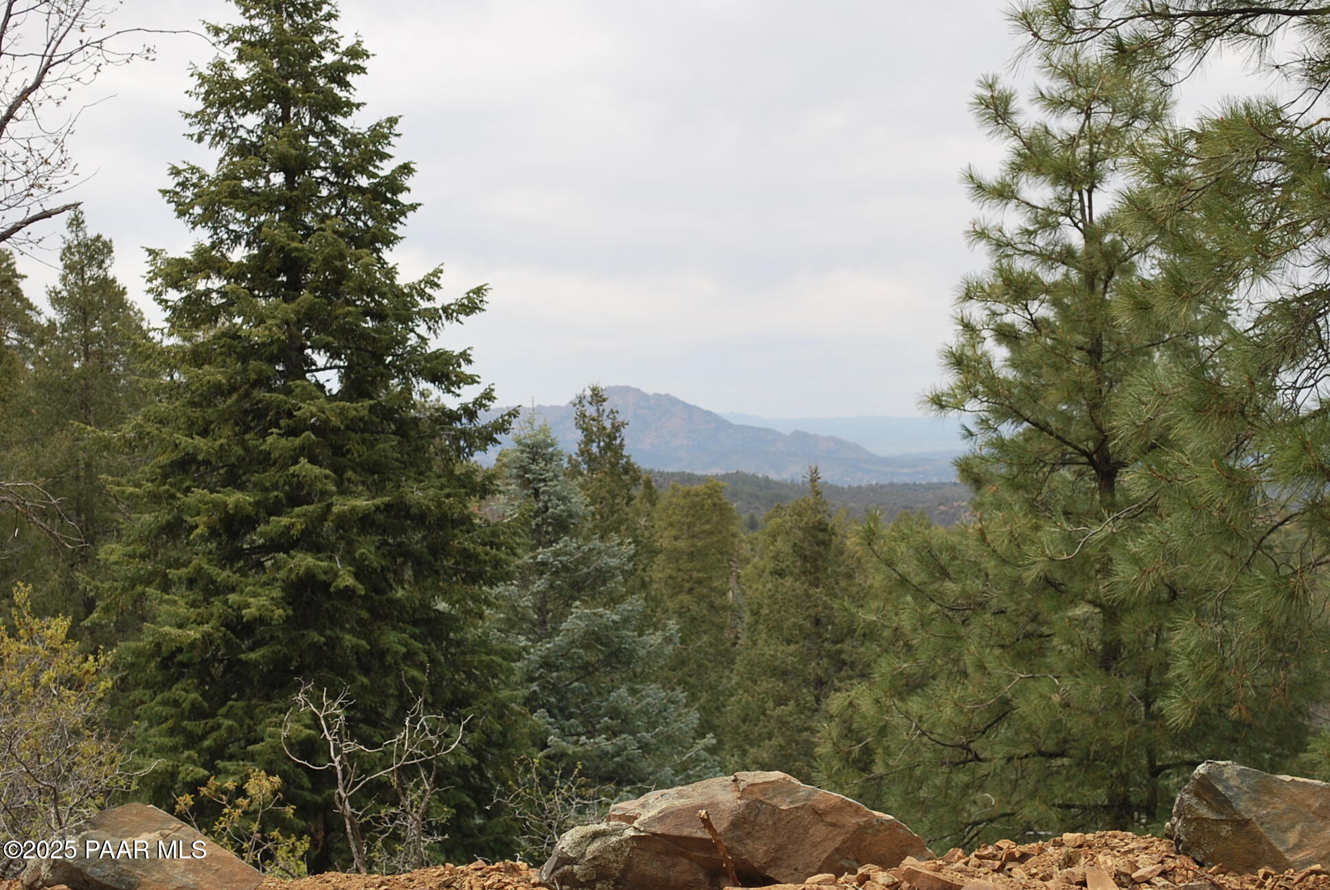 0 East Refuge Hideout Road Prescott, AZ 86303 - Photo 28 of 41 a view of a forest with a tree