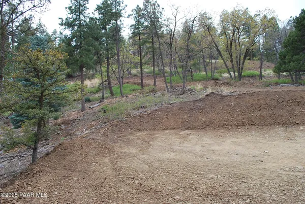 a backyard of a house with trees