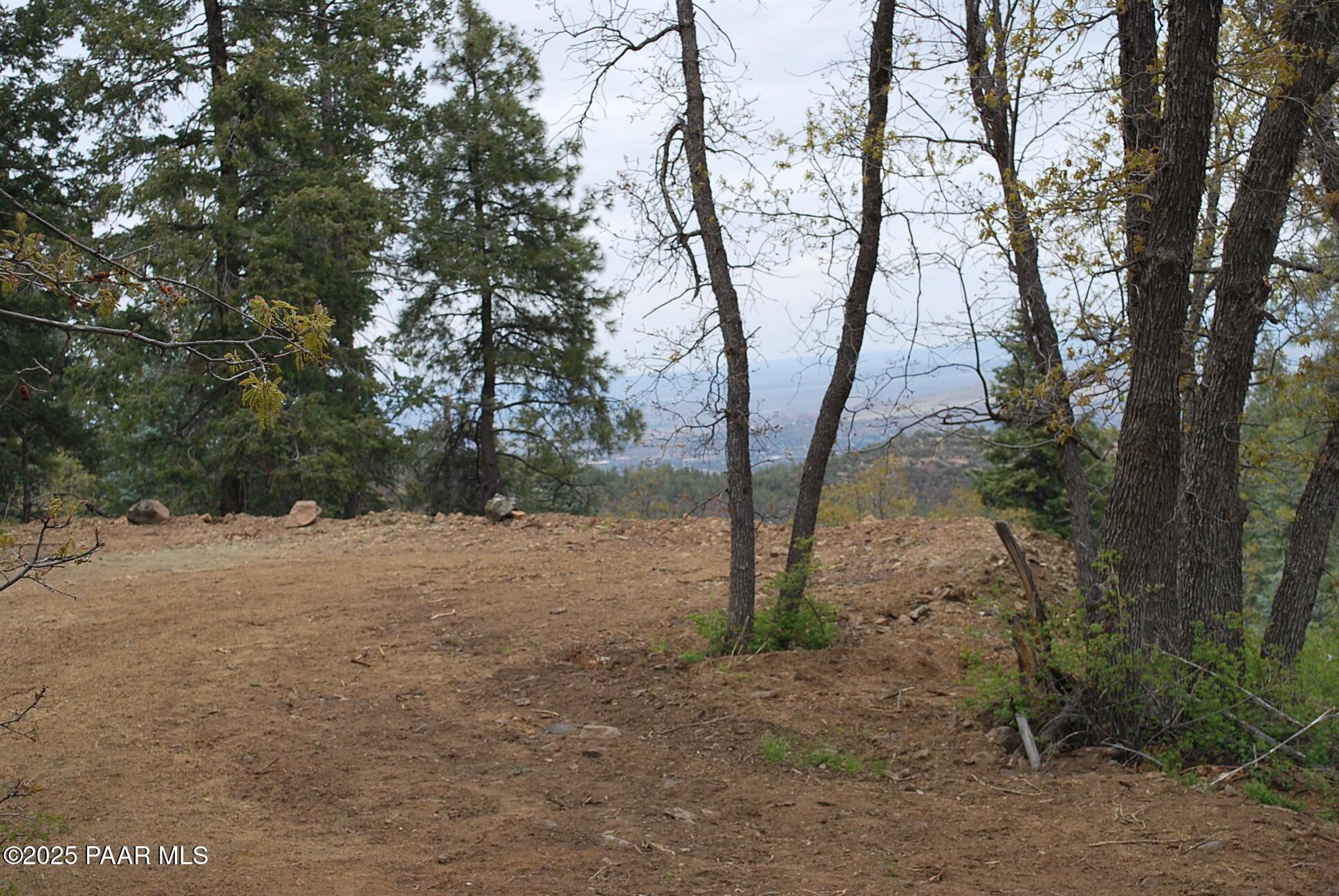 0 East Refuge Hideout Road Prescott, AZ 86303 - Photo 34 of 41 a view of a forest with trees