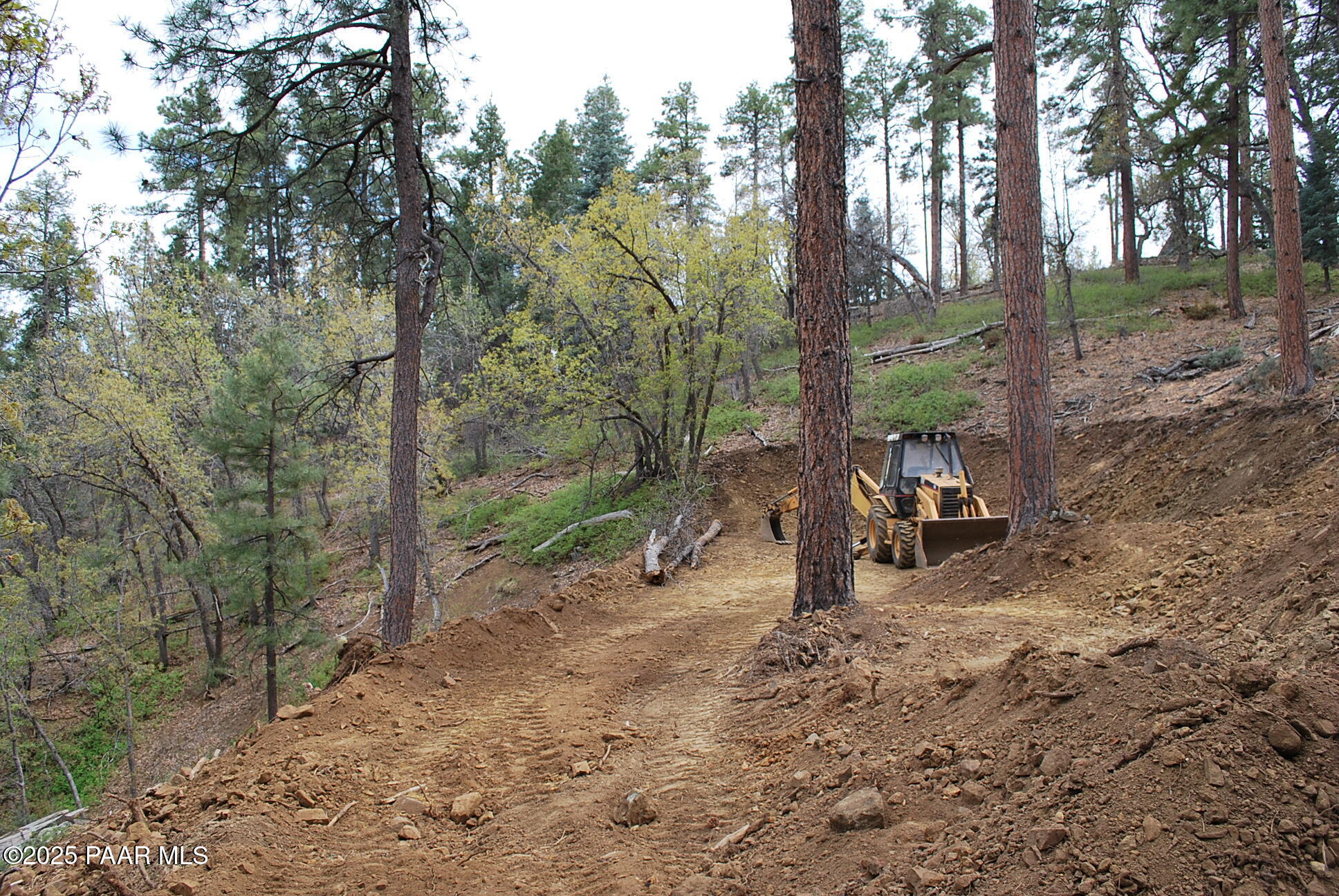 0 East Refuge Hideout Road Prescott, AZ 86303 - Photo 35 of 41 a view of a forest with trees