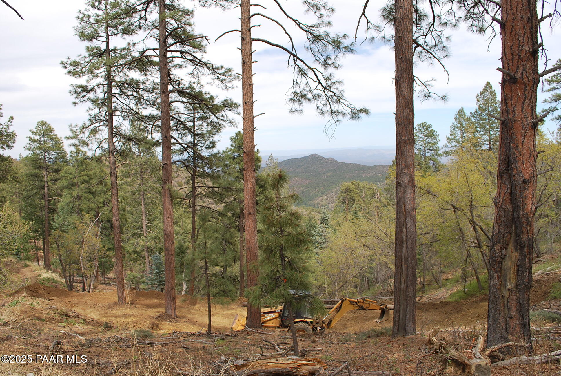0 East Refuge Hideout Road Prescott, AZ 86303 - Photo 37 of 41 a view of a forest filled with trees