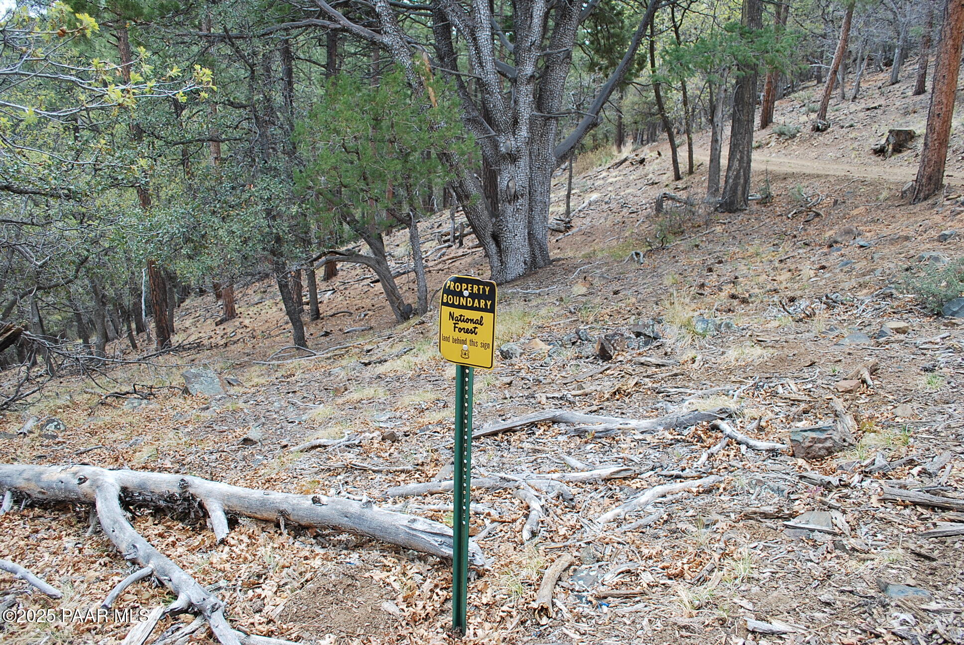 0 East Refuge Hideout Road Prescott, AZ 86303 - Photo 38 of 41 a view of a yard with trees
