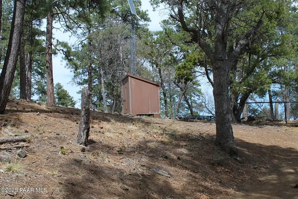 a view of a tree is standing in between of a house