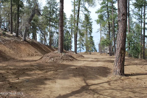 a view of backyard space and trees