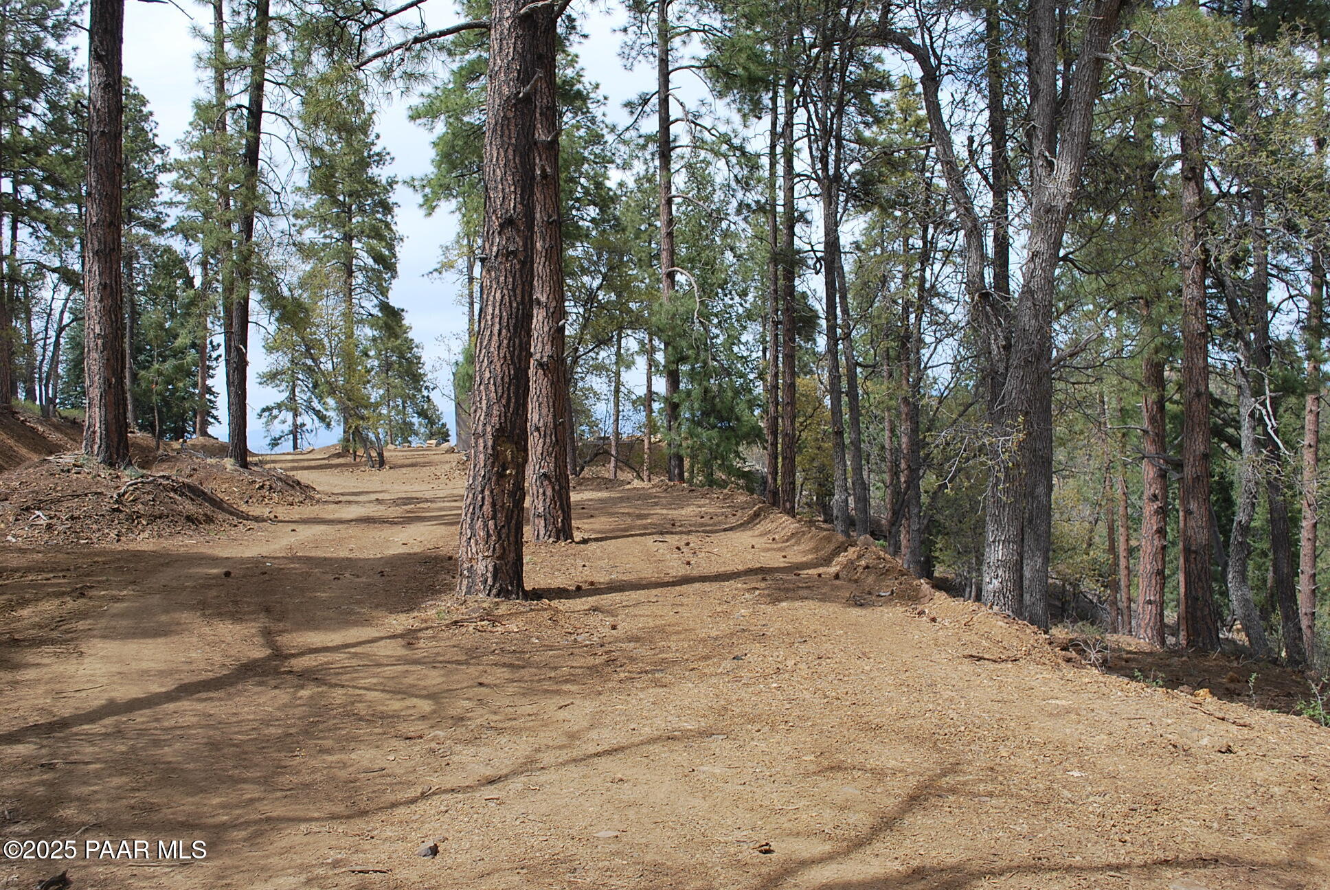 0 East Refuge Hideout Road Prescott, AZ 86303 - Photo 7 of 41 a view of backyard space and trees