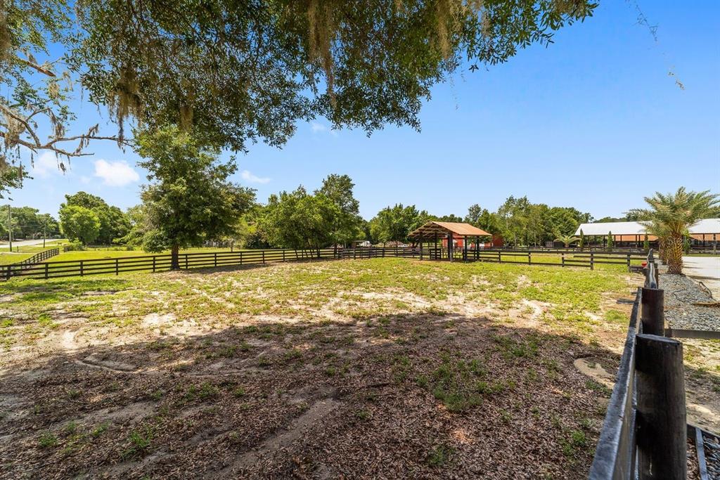 16392 Northeast Jacksonville Road Citra, FL 32113 - Photo 34 of 44 a view of a park with large trees