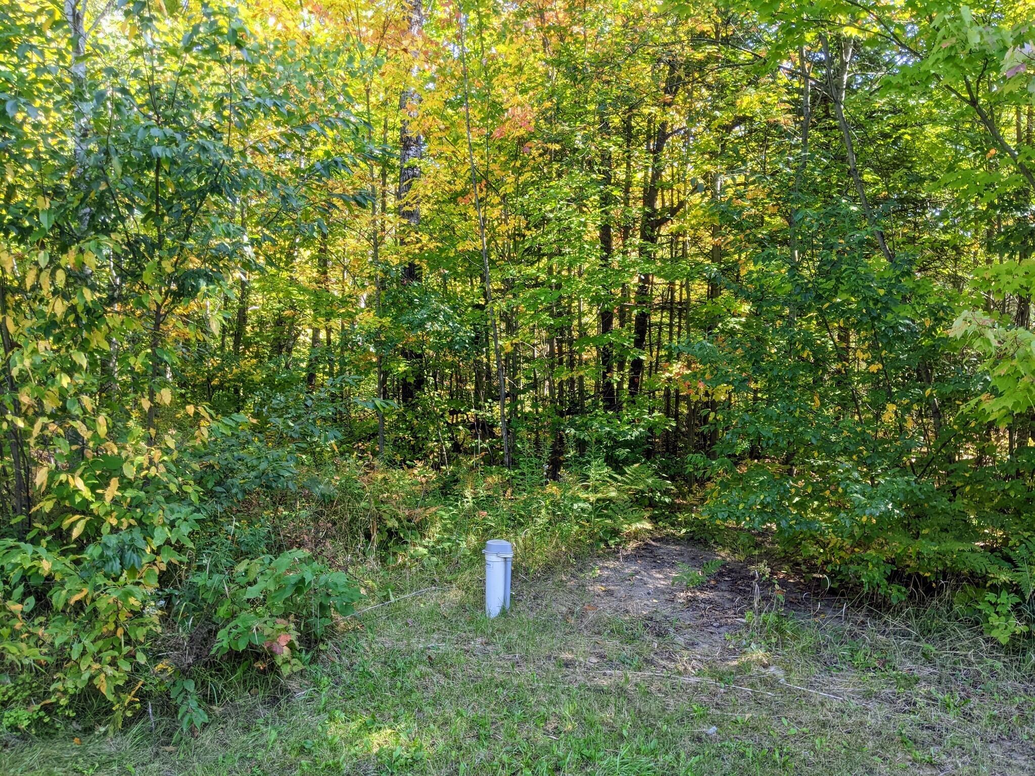 1699 West Helmer Lake Road Mio, MI 48647 - Photo 14 of 70 Gallery Image 14