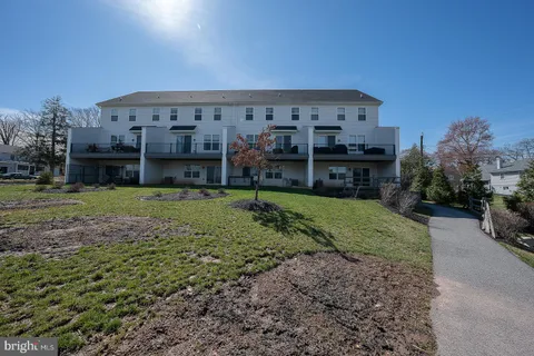 a view of a garden with large trees