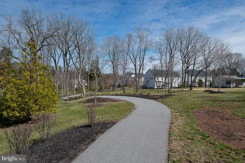 a view of a garden with an outdoor space