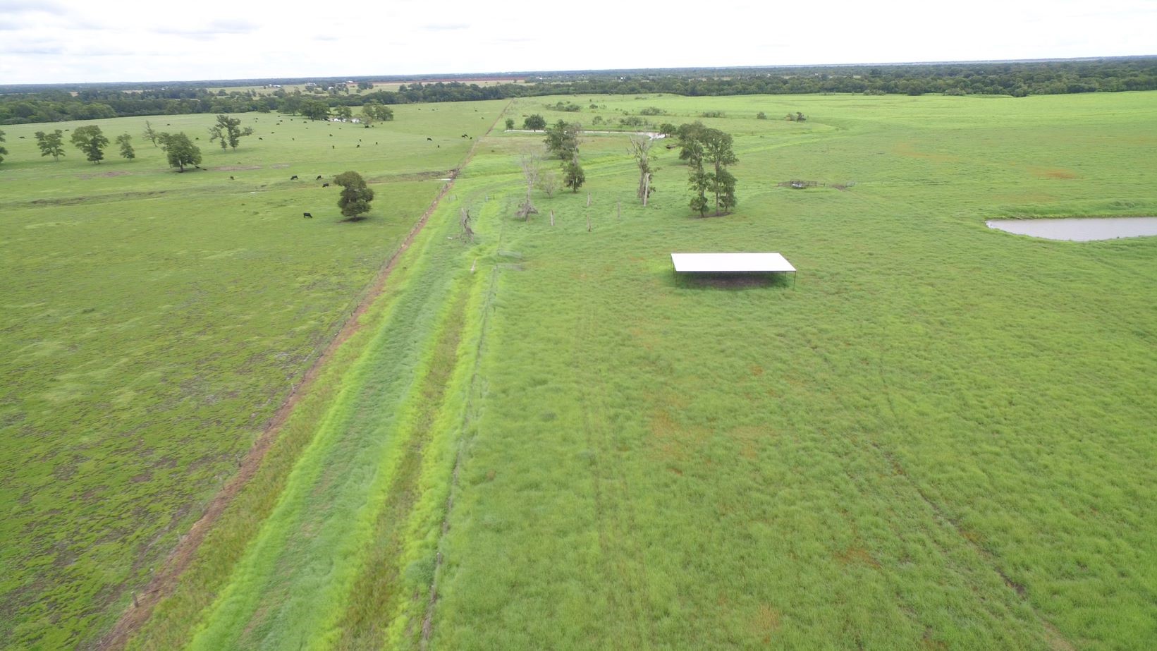 4950 Donaldson Road Wharton, TX 77488 - Photo 8 of 17 From CR 119 looking North toward W. Bernard Creek