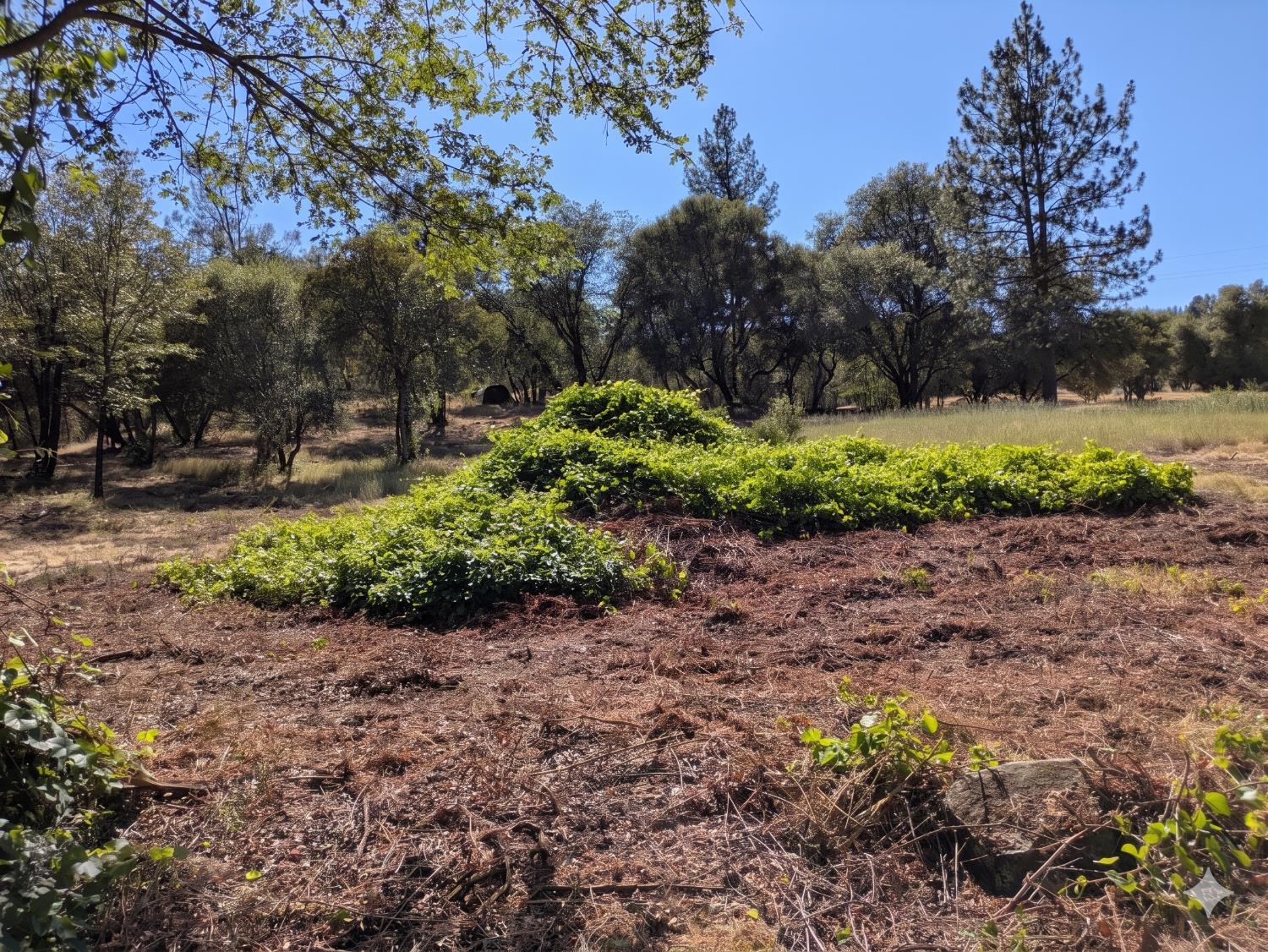 12998 Tyler Foote Road Nevada City, CA 95959 - Photo 15 of 33