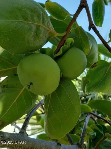 $349,000 | 6940 Yellow Bluff Road, Panama City, FL 32404