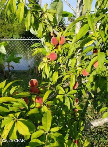 $349,000 | 6940 Yellow Bluff Road, Panama City, FL 32404