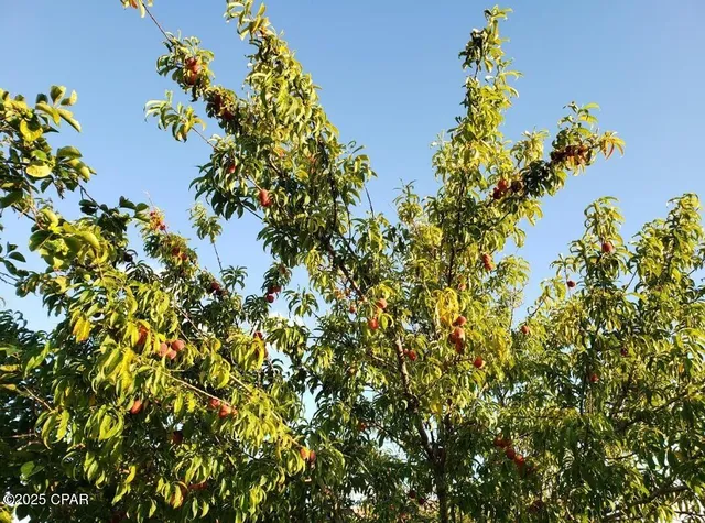 $349,000 | 6940 Yellow Bluff Road, Panama City, FL 32404