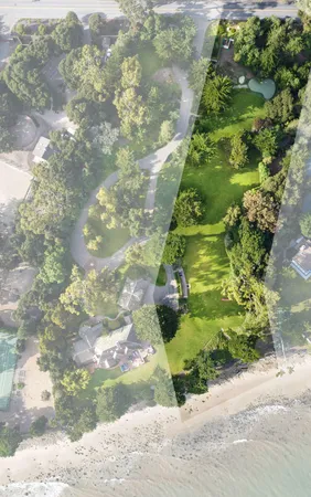 a view of a yard with plants