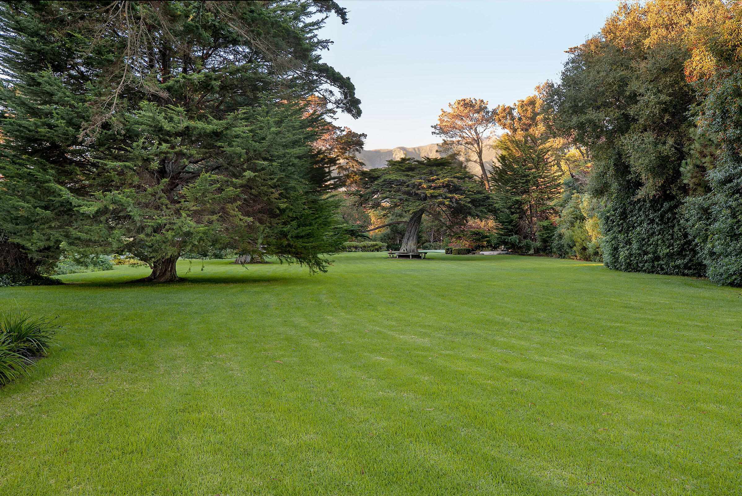 3055 B Padaro Lane Carpinteria, CA 93013 - Photo 6 of 8 a view of a field of grass and trees