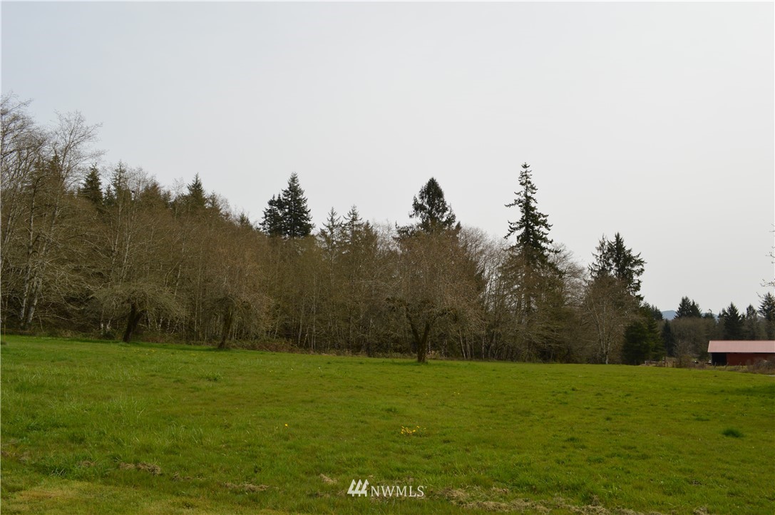 286 Lilly Wheaton Road Raymond, WA 98577 - Photo 5 of 19 Gallery Image 5