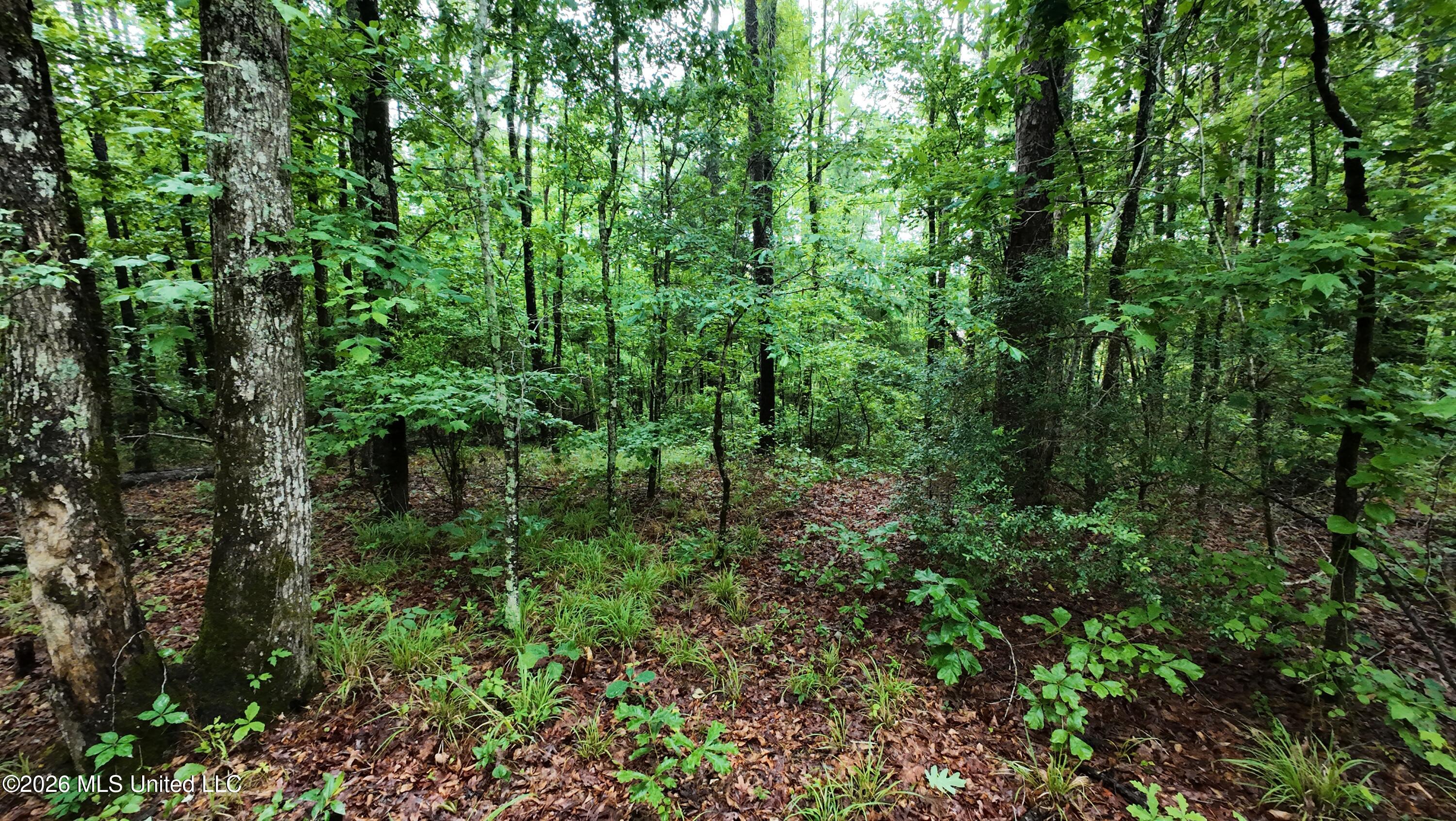 6936 Hillsboro-Ludlow Road Forest, MS 39074 - Photo 6 of 22 DJI_20260429130627_0131_D