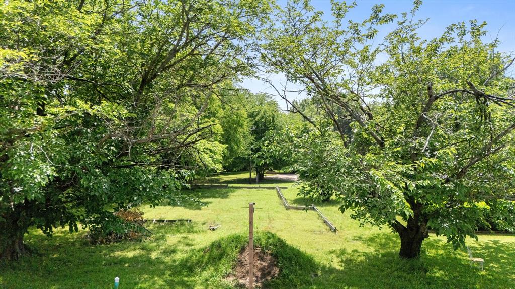 602 Wes Michael Road Bonham, TX 75418 - Photo 4 of 16 a view of yard with small fountain