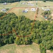 1008 Guerrant Springs Road Ruffin, NC 27326 - Photo 6 of 32 a view of a yard