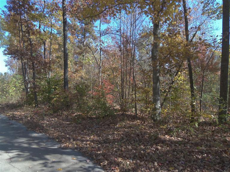 3 North Ridge Road Nancy, KY 42544 - Photo 21 of 30 Additional Photo
