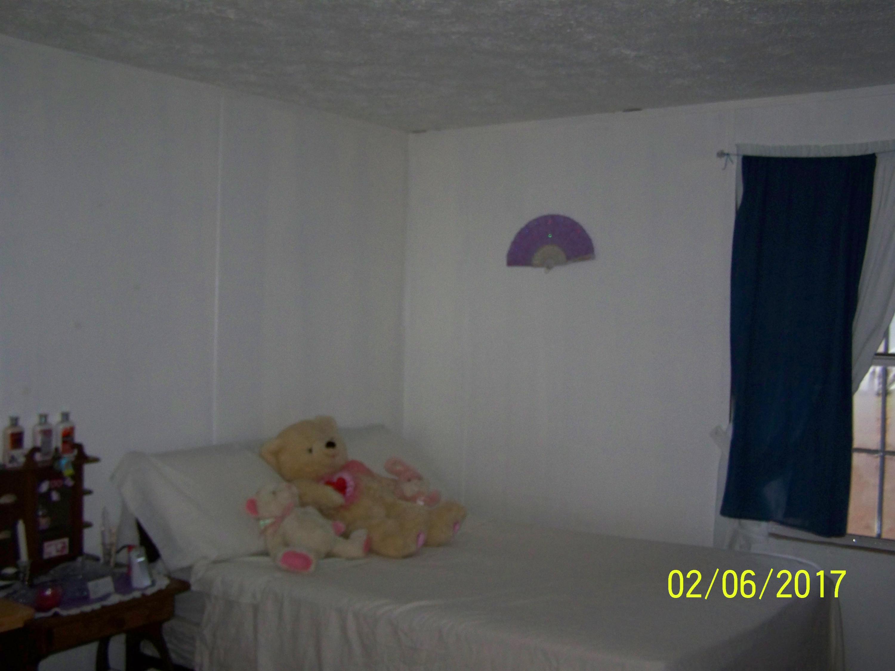 123 James Brown Road Lancing, TN 37770 - Photo 11 of 36 100_9030