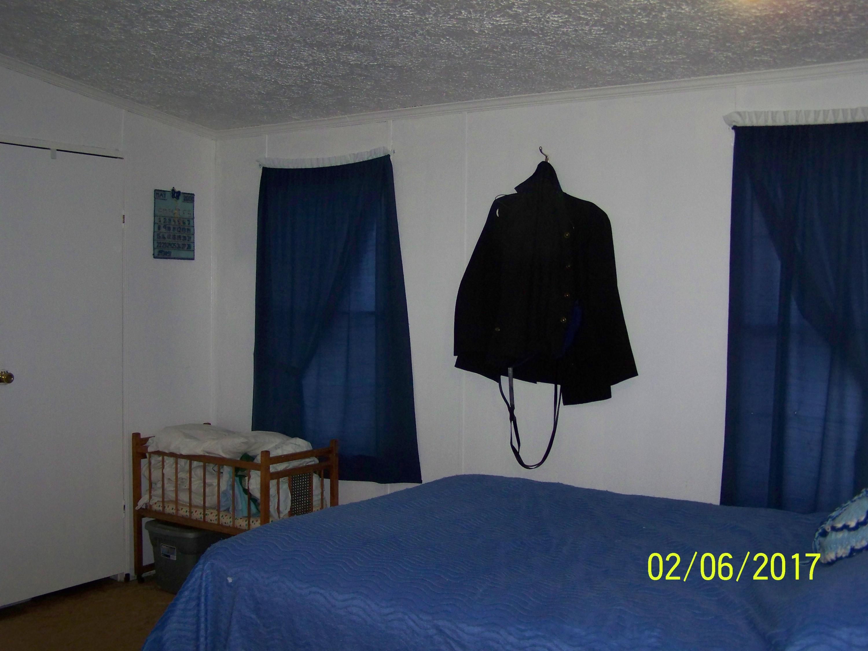 123 James Brown Road Lancing, TN 37770 - Photo 12 of 36 100_9031