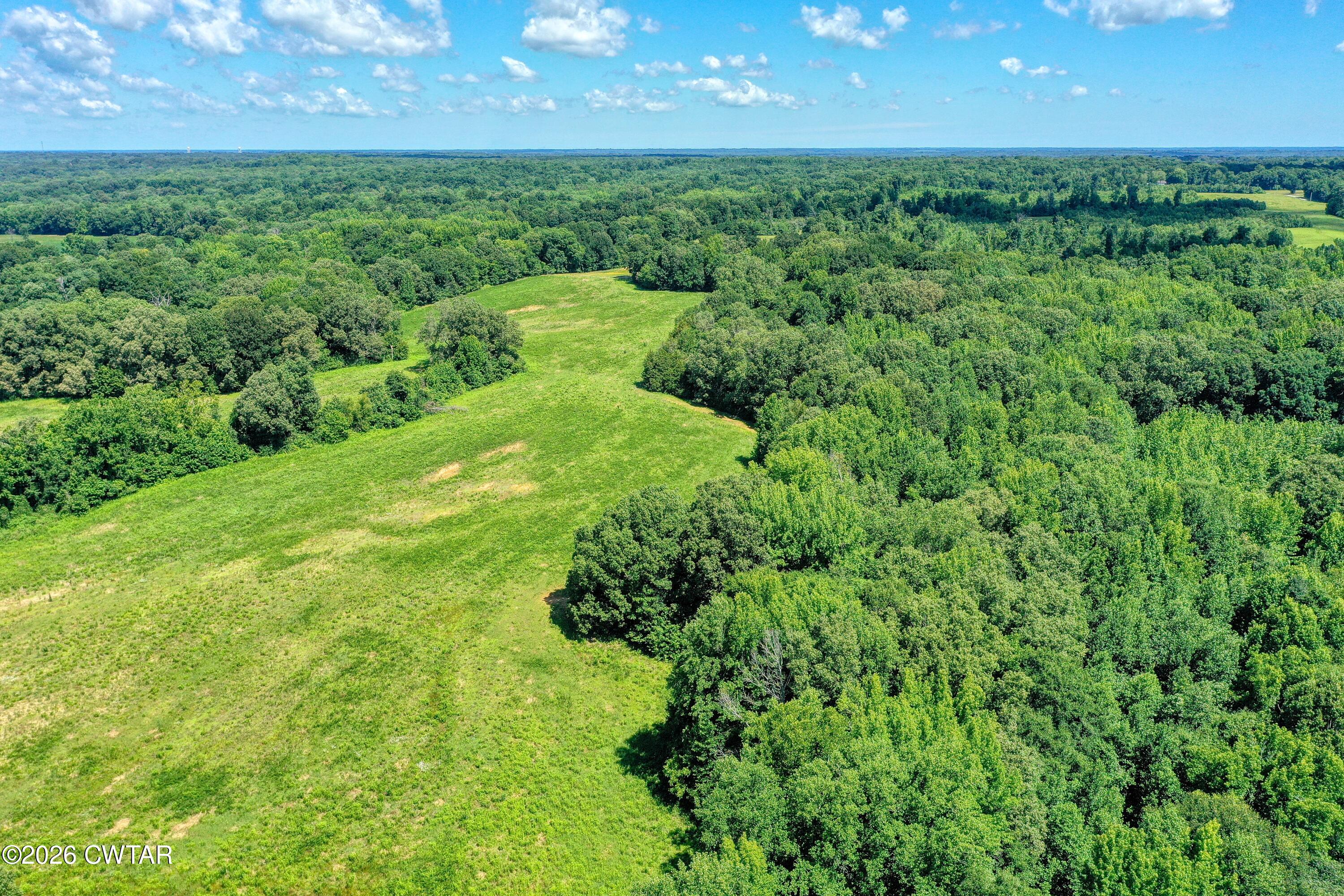 0 Perry Road Knoxville, TN 37914 - Photo 8 of 12 DJI_0135